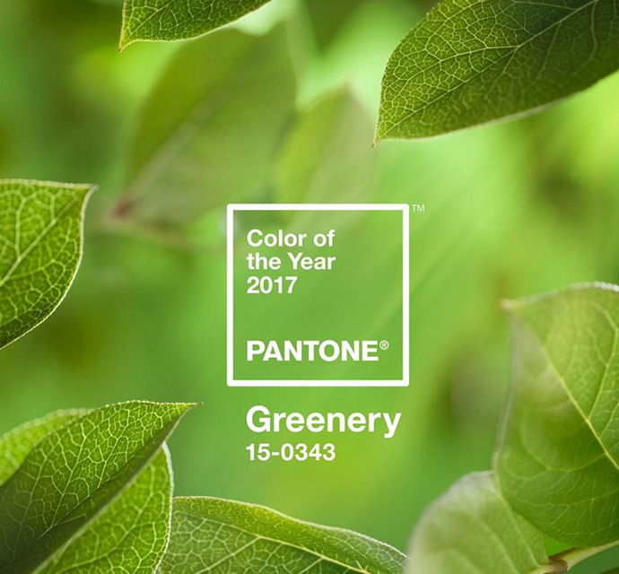 690x640_1_pantone_color_2017